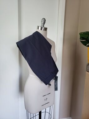 Italian Flannel Curvy Tailored Pants Size 2P NEW!